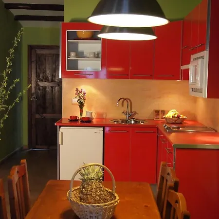 La Iguana Daire Hervás