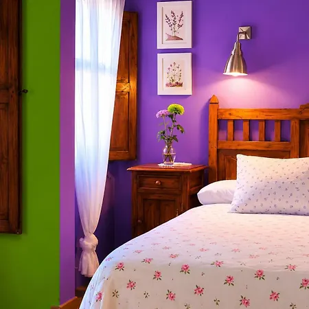 La Iguana Apartment *
