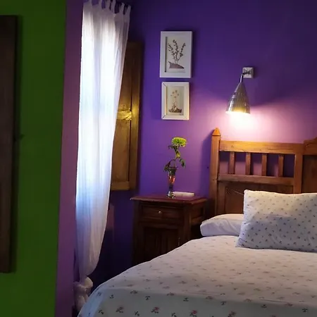 La Iguana Apartamento