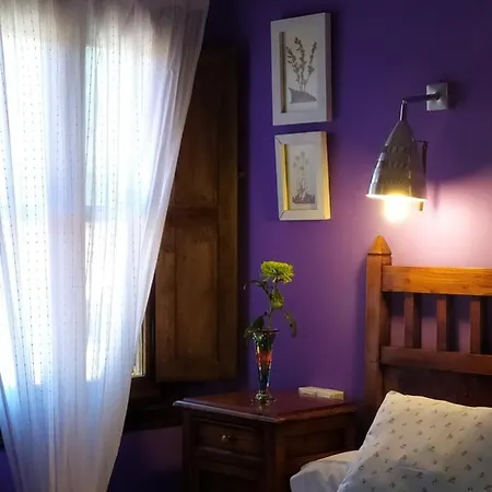 Daire La Iguana Hervás