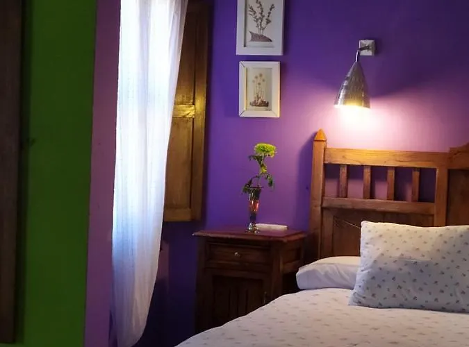 La Iguana Apartamento